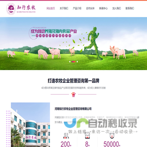 玉溪保家再生资源有限公司